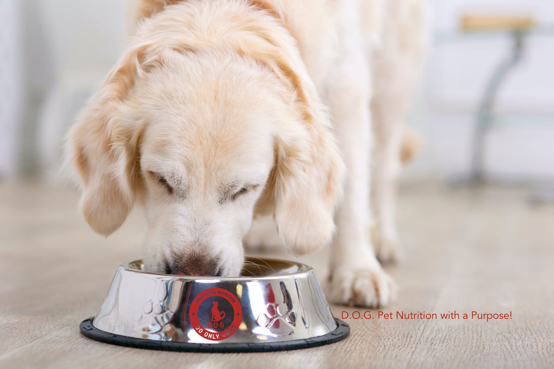 INGREDIENTS - HOW THEY SUPPORT A DOG’S LIFE FUNCTIONS