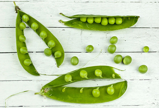 nutrition peas plant protein dogs